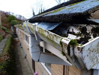 Gutter cleaning in South West London